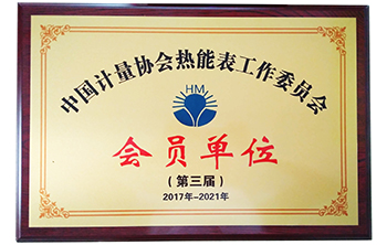 中國計(jì)量協(xié)會(huì)熱能表工作委員會(huì)會(huì)員單位-騰越科技